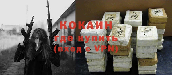 ГАЛЛЮЦИНОГЕННЫЕ ГРИБЫ Абаза
