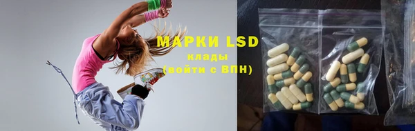 ГАЛЛЮЦИНОГЕННЫЕ ГРИБЫ Абаза