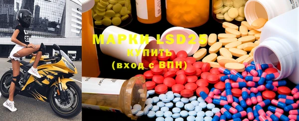 ГАЛЛЮЦИНОГЕННЫЕ ГРИБЫ Абаза