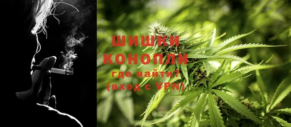 ГАЛЛЮЦИНОГЕННЫЕ ГРИБЫ Абаза